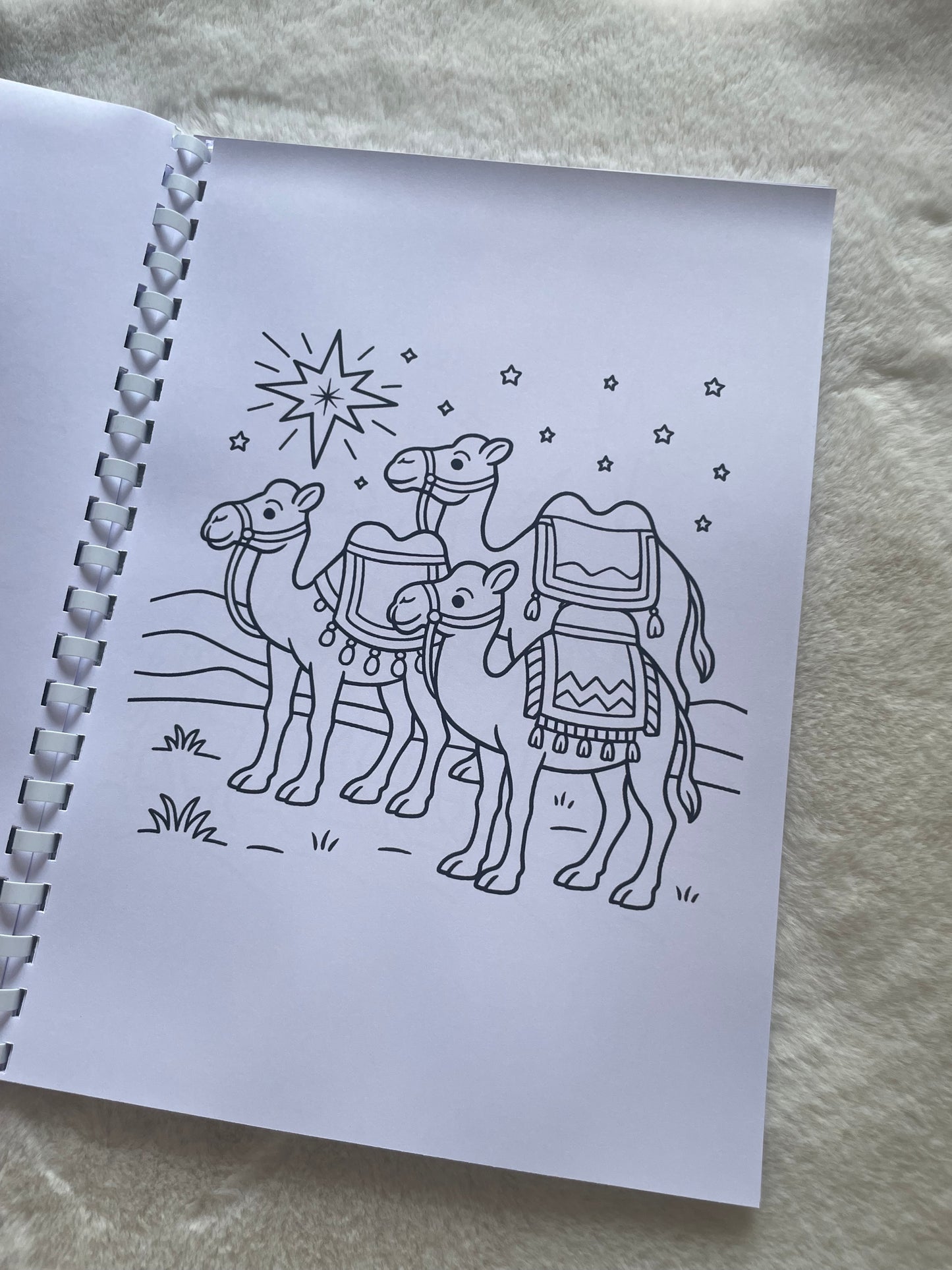 The Nativity Story Colouring Book