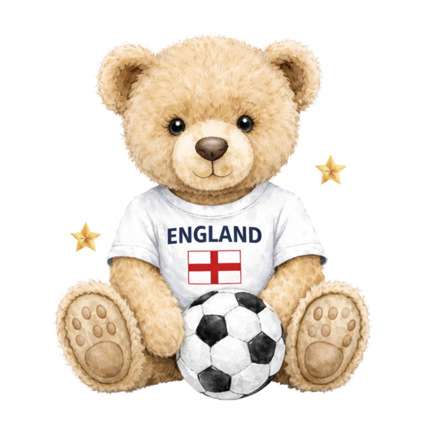 England Football Lion and Teddy three png bundle